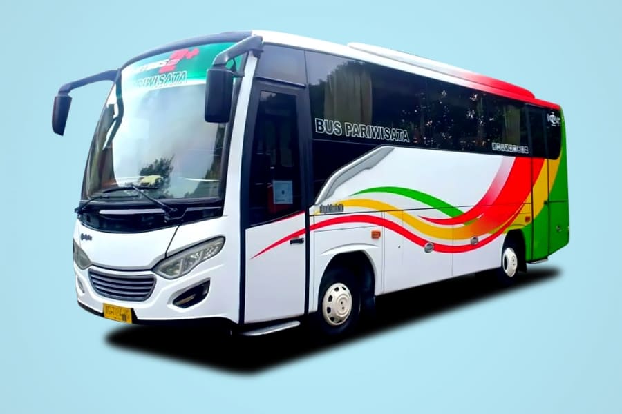 Sewa Bus Medium