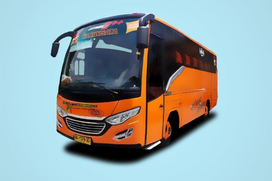 MEDIUM BUS JETBUS MD2++