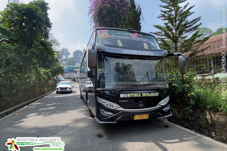 Liburan Seru ke Kebun Teh, Sewa Bus Pariwisata Mustika Holiday Jakarta Gunung Mas