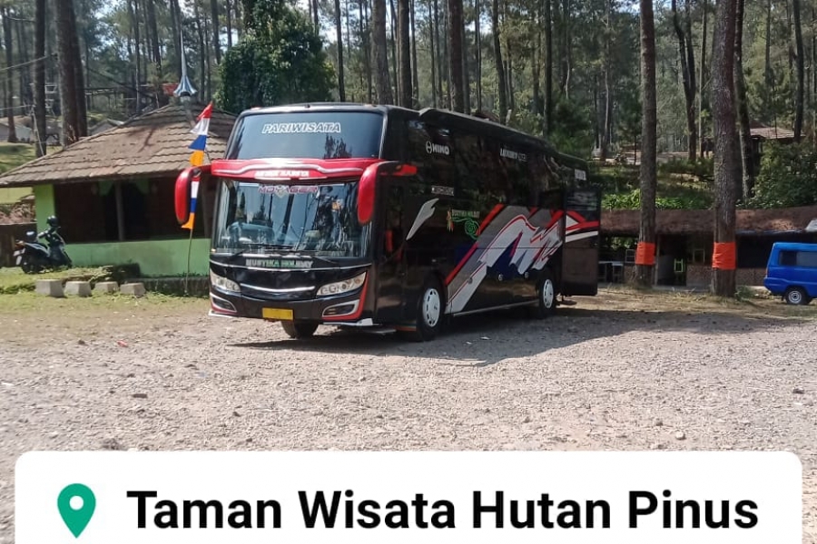 Menikmati Rimbunnya Hutan Pinus Cibubur dengan Big Bus Legrest