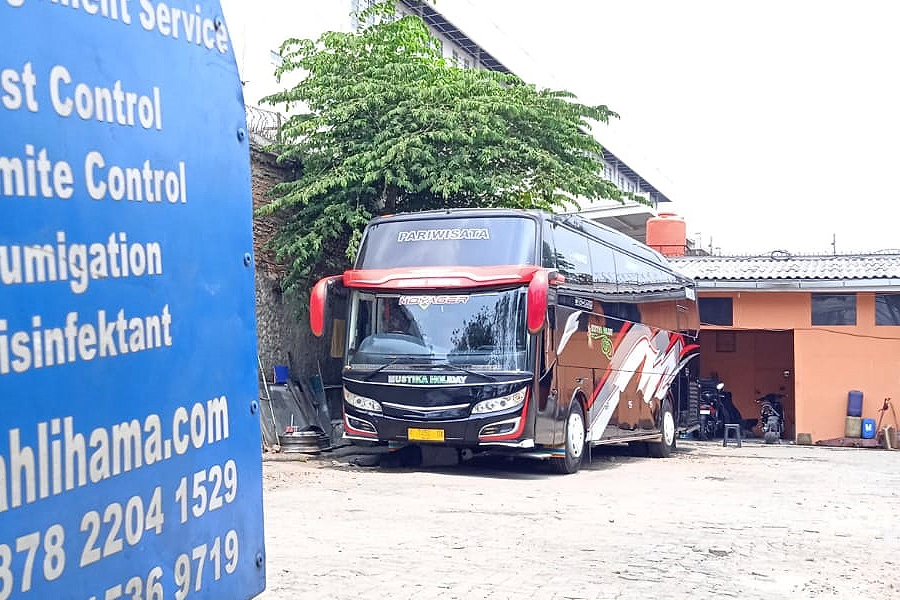 Pets Control Big Bus